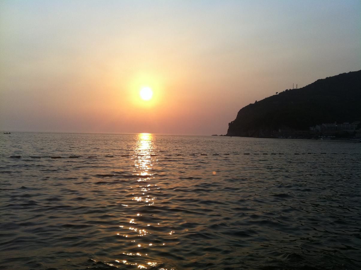 Апартаменты Regent Apartment Петровац