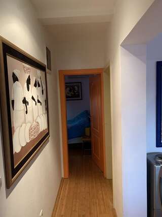 Апартаменты Regent Apartment Петровац Апартаменты с видом на море-15